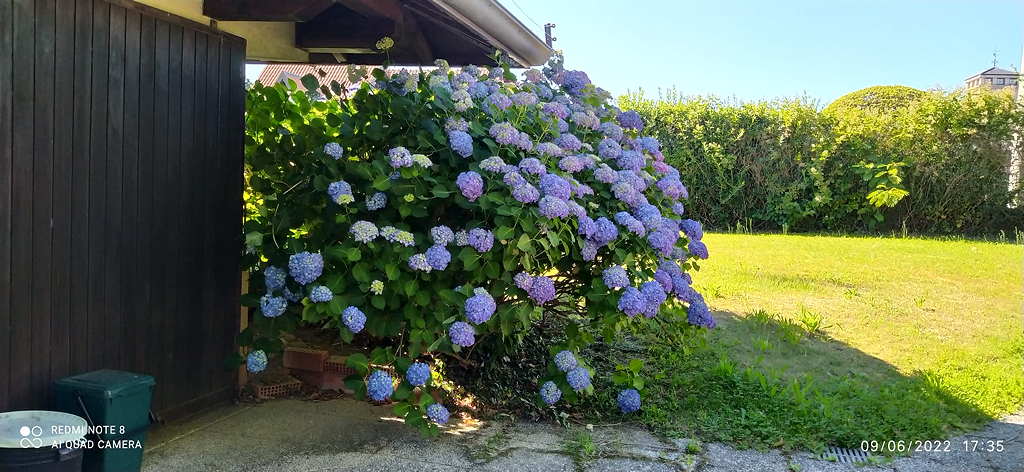 9 - Gattico - Borgomanero - Bellissima villa singola Borgomanero  Borgomanero