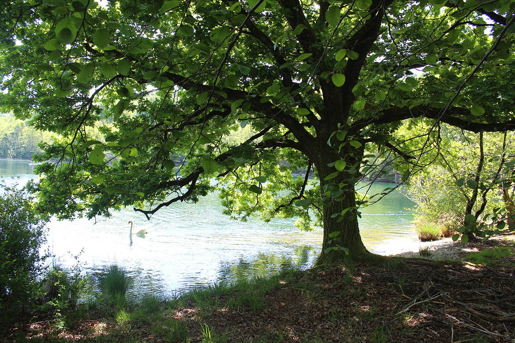 Pella, Lago d’Orta – Appartamenti e villa con vista mozzafiato sul lago e sull’isola, spiaggia privata e posto barca. pella 8 - Pella, Lago d’Orta – Appartamenti e villa con vista mozzafiato sul lago e sull’isola, spiaggia privata e posto barca. pella